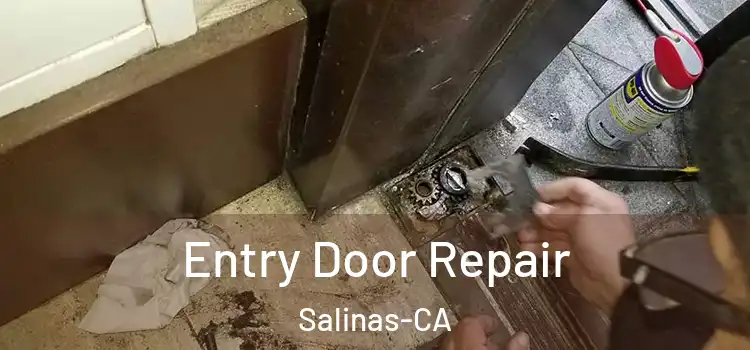 Entry Door Repair Salinas-CA