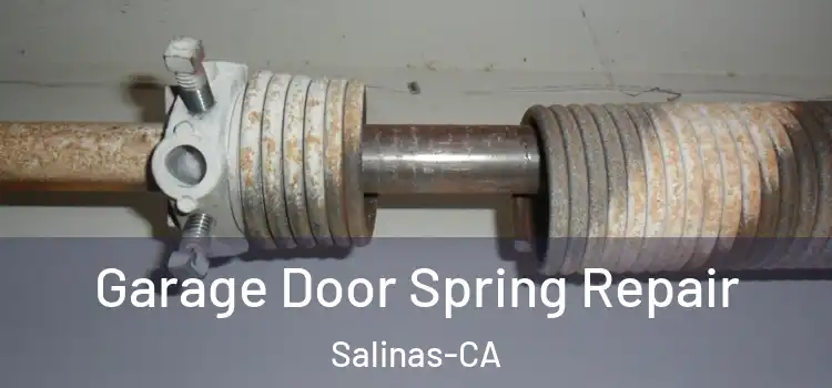 Garage Door Spring Repair Salinas-CA