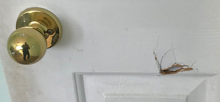 interior door hole repair Salinas
